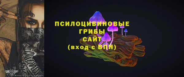 индика Вязьма