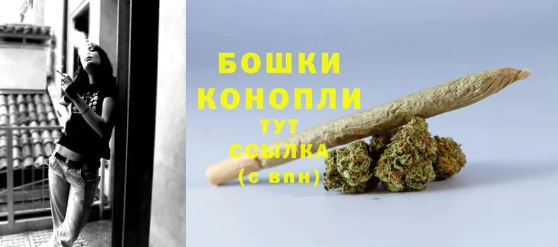 Конопля OG Kush  kraken   Купино 